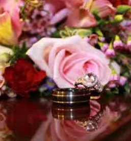 Kvalitetna in strokovna organizacija porok na Gorenjskem