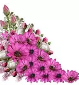 Pogrebna oprema Savinjska