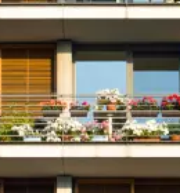 Kvalitetna polkna goriska