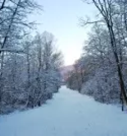 Kvalitetna psihoterapija goriska