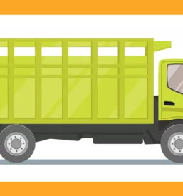 Kvalitetna ureditev dvorišč Dolenjska