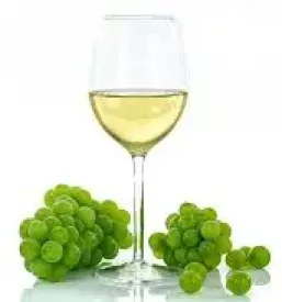 Bela in rdeča vina Goriška