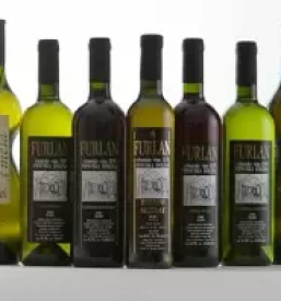 Kvalitetna vrhunska vina Vipavska dolina