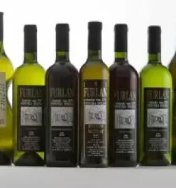 Kvalitetna vrhunska vina Vipavska dolina