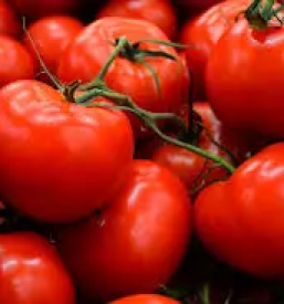 Kvalitetna zelenjava dolenjska