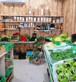 Kvalitetna zelenjava slovenija