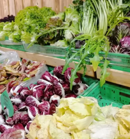 Kvalitetna zelenjava slovenija