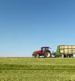 Kvalitetna žita Štajerska