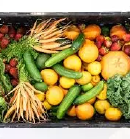 Kvalitetno seme Štajerska