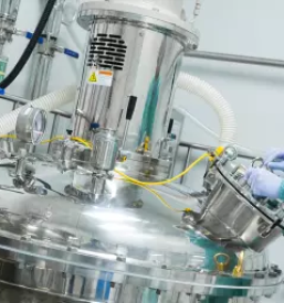 Kvalitetni inox bazeni primorska