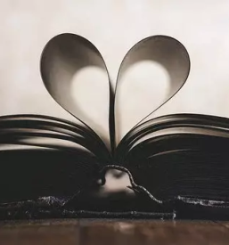 Kvalitetno knjigovestvo kranj