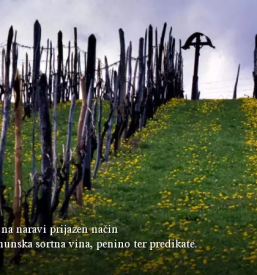 Kvalitetno sadje dolenjska