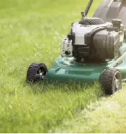 Kvalitetno urejanje okolice ljubljana