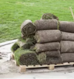 Kvalitetno urejanje okolice ljubljana