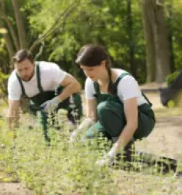 Kvalitetno urejanje okolice ljubljana