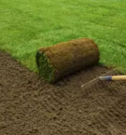 Kvalitetno urejanje okolice ljubljana