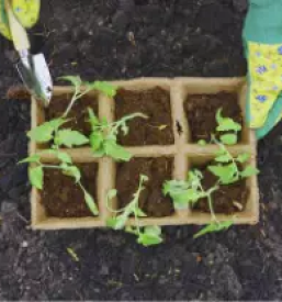 Kvalitetno urejanje okolice ljubljana