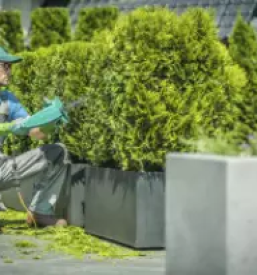 Kvalitetno urejanje okolice ljubljana