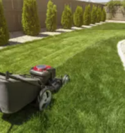 Kvalitetno urejanje okolice ljubljana