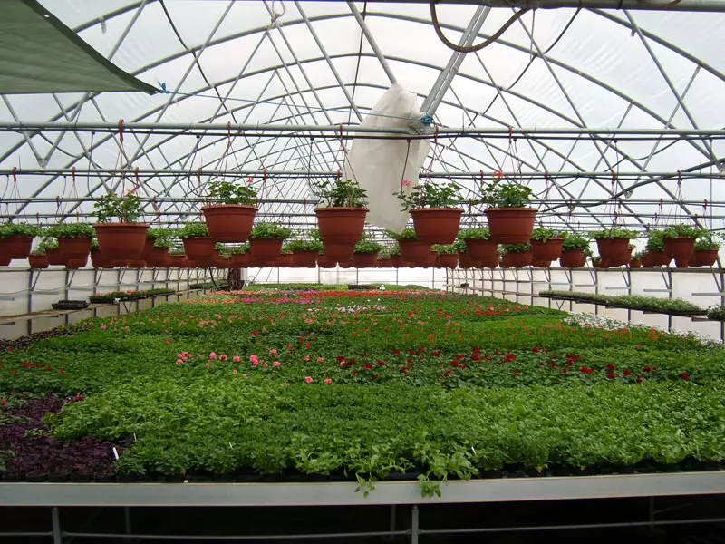 Kvalitetno vrtnarstvo Osrednja Slovenija