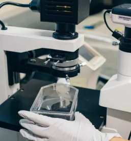 Najboljši laki za plastiko Slovenija