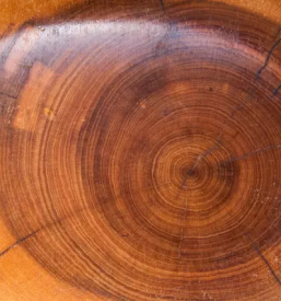 Lakiranje lesenih izdelkov