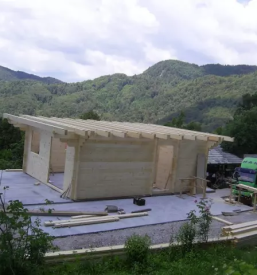 Lesarstvo savinjska dolina