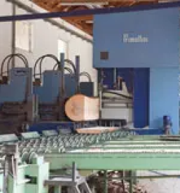 Lesni sekanci slovenija