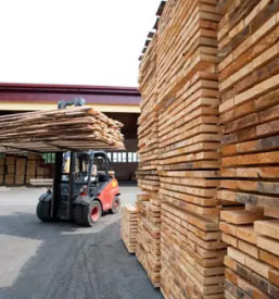 Lesni sekanci slovenija