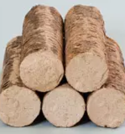 Lesni sekanci slovenija