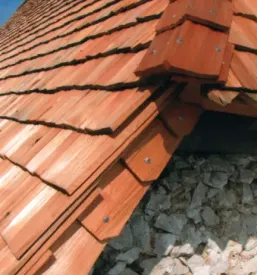 Macesnove skodle slovenija