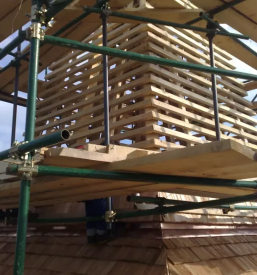 Macesnove skodle slovenija