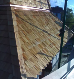 Macesnove skodle slovenija