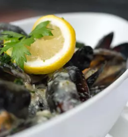 Dobra kosila Gornja Radgona