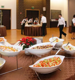 Velika ponudba malic Kidričevo