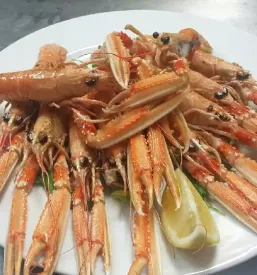 Mediteranska kuhinja portoroz