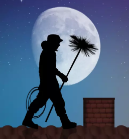 Meritve dimnih emisij dolenjska