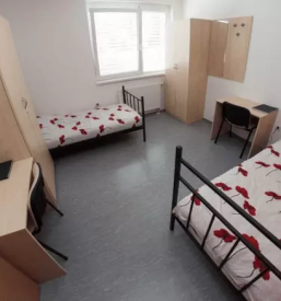 Mladinski hostel na Savinjskem