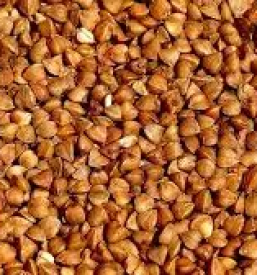 Nakup ekološke moke Primorska