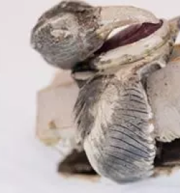 Mokume gane ljubljana