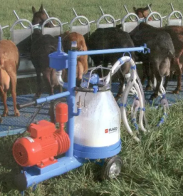 Ugodni molzni stroji v Sloveniji