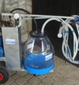 Molzni stroji in oprema Slovenija