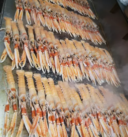 Najboljša restavracija s svežimi ribami v Piranu