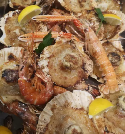 Vrhunska ribja restavracija v Piranu