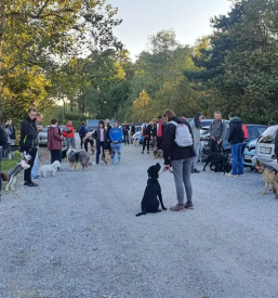 Dobra šola za pse Ljubljana