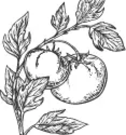 Najboljse pice v mariboru