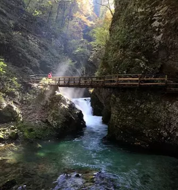 Najboljse sobe v bohinju