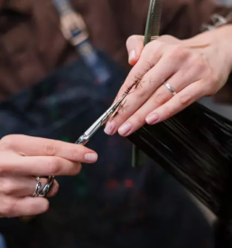 Ugodno striženje v Kranju