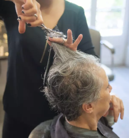 Oblikovanje las Kranj