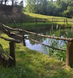 Najem brunarice v naravi stajerska